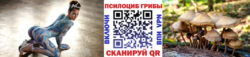 Псилоцибиновые грибы GOLDEN TEACHER  Клин 
